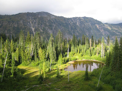 Bench Lake viewed from the trail